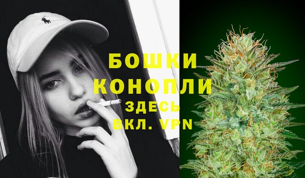 стаф Баксан
