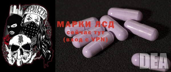 стаф Баксан