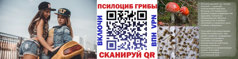 Галлюциногенные грибы GOLDEN TEACHER  omg ссылка  Скопин 